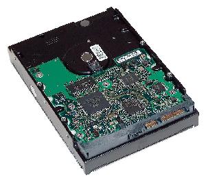 HP 2TB SATA 6Gb/s 7200 Hard Drive - 3.5" - 2000 GB - 7200 RPM